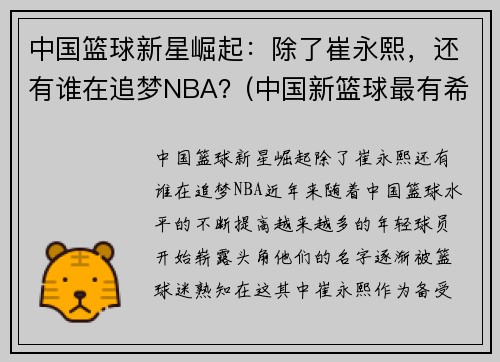 中国篮球新星崛起：除了崔永熙，还有谁在追梦NBA？(中国新篮球最有希望的球员)